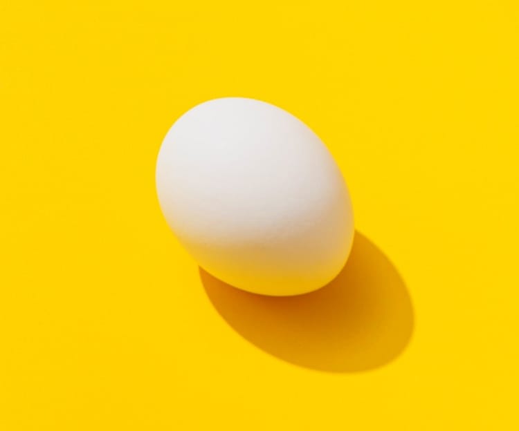 photo egg